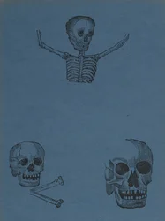 Studier af kranier og skeletter, fra 330 Grabados Originales, trykt af Antonio Vanegas Arroyo (1850-1917), Mexico City, Mexico (reliefstik)